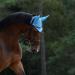 Weatherbeeta Prime Marble Ear Bonnet - Blue Swirl Full - Buy Online on GoSupps.com