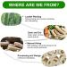 Buy 6 Pack Natural Luffa Sponge - 10cm Exfoliating Cucumbers for Skin Care Bath & Shower Peeling - Eco-Friendly Body & Kitchen Sponge - Buy Online on GoSupps.com