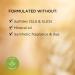 Elizabeth Arden White Tea Skin Solutions Nature's Superpower Glow Heroes 2-Piece Set with Fortifying Bi-Phase Oil Serum & Replenishing Micro-Gel Cream Hydrating & Brightening Vegan - Buy Online on GoSupps.com