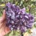 540-560g Natural Dream Amethyst Quartz Crystal Cluster Specimen qiangang - Buy Online on GoSupps.com