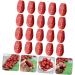 HOMSFOU 20Pcs Simulation jujube model pretend play fruit fruities Simulation Red Jujube Decors Fake Red Jujube artificial fruit Model fruit toys Photography Fruit Ornaments pvc nut food - Buy Online on GoSupps.com