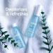 Tea Tree Calming Feminine Mist 1 fl oz | Deodorizes Odor, Soothes Intimate Area | 88.6% Tea Tree Leaf Water | 360 Sprayer - Buy Online on GoSupps.com