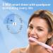 MAYZE Sonic Electric Toothbrush with 6 Brush Heads | 5 Modes | Portable & Travel-Friendly | 90-Day Charge | Ultra Power Cleaning | Pink - Buy Online on GoSupps.com