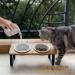 Raised Ceramic Cat Bowls with Tilted Bamboo Stand - Anti Vomiting, Whisker-Friendly, 5.5 Wide Dish for Food and Water - Indoor Iron Stand Bowl - Buy Online on GoSupps.com