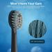 Compact Floss Brush Replacement Heads - 3 Count - Black - Buy Online on GoSupps.com