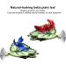 Betta Fish Hammock | Green Leaf Bed for Betta Fish | Perfect Aquarium Accessory - Buy Online on GoSupps.com