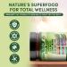 PureLeaf Naturals - Soursop Shilajit Sea Moss and Lions Mane - 24-in-1 Supplement with Ashwagandha Black Seed Oil Rhodiola Rosea Ginger Collagen Turmeric - Made in USA - 60 Capsules - Buy Online on GoSupps.com