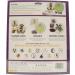 Moon and Star Pre-Cut Stained Glass Kit - DIY Stained Glass Craft Supplies - Buy Online on GoSupps.com