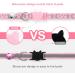 LLHK 2 Pack Reflective Breakaway Cat Collars & Name Tags - Adjustable Safety Collar for Cats - Personalized ID Tag - Pink - Buy Online on GoSupps.com