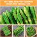 ifundom 50 Pcs Simulated asparagus ornaments food display show ornament kitchen food decor faux veggies Realistic vegetables artificial asparagus Educational Props pvc bouquet cupboard - Buy Online on GoSupps.com