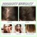Shampoo shampoo for hair growth ginseng Ginger Hair Shampoo natural vegetable oil control conditioner for all hair types - Buy Online on GoSupps.com