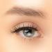 Invogue Lash - Winging It - Buy Online on GoSupps.com