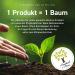 Biotiva Organic Tulsi Powder 250g - Indian Basil - Vegan - Bottled in Germany (DE-KO-005) - Buy Online on GoSupps.com