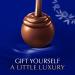 Lindt LINDOR Dark Chocolate Truffles - Smooth Melting Center - 25.4 oz, 60 Count - Gift Ready - 1.6 Pound Pack - Buy Online on GoSupps.com