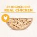 Cesar Wholesome Bowls Adult Wet Dog Food Chicken 85g Pack of 10 Chicken 85 g (Pack of 10) - Buy Online on GoSupps.com