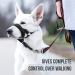 Goodboy Dog Halver with Service Belt - Padded Leash Halter for All Dog Sizes - Stops Pulling & Includes Training Instructions - Size 2 - Black - Buy Online on GoSupps.com