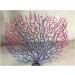 QUETHEDS Faux Coral D cor Artificial Coral Branch D cor Sea Fan Coral Decorations Aquariums Ornament Fish Tanks Landscape Sea Fan Coral Decorations Black Small - Buy Online on GoSupps.com