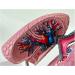 Human Lung Model Human Nasal Cavity Throat Anatomy Model Lung Model Teaching Tool Study Tools for Anatomy and Physiology Students Display Teaching Tool - Buy Online on GoSupps.com