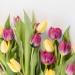 ARTIBETTER 50Pcs Artificial Flower Calyxes - DIY Craft and Flower Arrangement Supplies - Buy Online on GoSupps.com