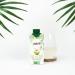 Va va - Organic Coconut Water - 100% Pure Juice - Sweet and Refreshing - No Added Sugars - 12 Tetra Pak Bricks of 33cl - Buy Online on GoSupps.com