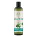 Petal Fresh Pure Rosemary & Mint Shampoo 355ml