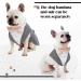 Dog Smoking Suit & Bandana Set - Formal Wedding Party Clothing for Pets | Adjustable Tie Shirt for Birthdays Halloween & Christmas - Gray (L) - Buy Online on GoSupps.com