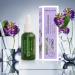 Miraculum Bakuchiol Anti-Aging Regenerating Day and Night Face Serum Moisturising Face Serum with Vitamin C Botanic Retinol - 4D Hyaluronic Acid Face Serum Vegan Natural Face Serum - 30 ml - Buy Online on GoSupps.com