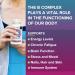 Liposomal Vitamin B Complex - 9 Essential B Vitamins 10x Absorption 90 Soft Capsules (2 Pack) - Additive-Free 3 Month Supply for Optimal Health - Buy Online on GoSupps.com