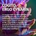 Artichoke Extract - 2600mg daily (including 260mg cynarin) - Powerful 40:1 extract (equivalent to 104 000mg of fresh artichoke) - 100% vegan and lab tested - Buy Online on GoSupps.com