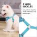 Rennaio No Pull Dog Harness & Leash Set - Adjustable Padded Chest Harness for Small & Medium Dogs - Sky Blue (M) - Breathable Design & Includes Puppy Dishes - Buy Online on GoSupps.com