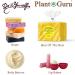 Raw African Shea Butter 3 lbs - 100% Pure Unrefined Grade A for DIY Body Butters, Lotion, Soap & Eczema Aid - Buy Online on GoSupps.com