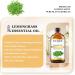 EUQEE Lemongrass Essential Oil 118ml - Pure Natural Aromatherapy Oil for Diffusers - Relaxing Home Humidifier Scent - Buy Online on GoSupps.com