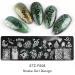 Nail Art Stamp Plates for Women & Girls | Engraved Patterns Rustproof Designs Floral Nail Stamps - Buy Online on GoSupps.com