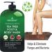 Tea Tree Body & Foot Wash - Fights Corns, Calluses, Dandruff, Warts, Nail Issues, Acne, Body Odor, Eczema, Jock Itch - 100% Natural - 16 fl oz - Buy Online on GoSupps.com