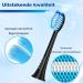 REDTRON replacement brush heads for Philips Pro Results 8 pieces replacement brush heads for FlexCare ProtectiveClean HealthyWhite EasyClean and PowerUp black 8 Black and blue - Buy Online on GoSupps.com