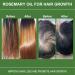 Buy 2 Pcs 100% Natural Rosemary Oil for Hair Growth & Scalp Care | Essential Oil for Healthy Hair | 60ml Green - Buy Online on GoSupps.com