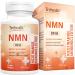Max Potent NMN 500mg, 99% Ultra Purity NMN Supplement, for Longevity, Cellular Repair, Boost NAD+, Energy Level, Immune Support Skin Health & Anti-Aging, Stabilized Form, 60 Capsules (60 Days Supply) 60 Count (Pack of 1)