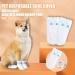 Disposable Dog Socks 20 Pcs Adjustable Disposable Dog Shoes Boots Dirt-Proof Pet Socks Dog Paw Protectors Foot Cover with Self Adhesive Bandage for Outdoor Indoor Walking (Small) - Buy Online on GoSupps.com