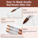 Modelones Acrylic Nail Brush Size 8 - Pure Kolinsky Hair Bristles - Professional Manicure Pedicure Tool for DIY Home Salon - Buy Online on GoSupps.com