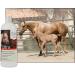 UltraCruz Shampooing quin l'avoine pour chevaux 32 onces - Buy Online on GoSupps.com