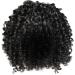 Cute Hair Clips European And American Small Curly African Ladies Wig Rod Fluffy Fiber High Temperature Silk Headgear Suitable For Black Women Large Cap Wigs for Women Pink One Size - Buy Online on GoSupps.com