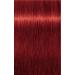 INDOLA PROFESSION CARING HAIR DYE COLOUR PERMANENT RED & FASHION 60ml - 8.66X LIGHT BLONDE EXTRA RED - Buy Online on GoSupps.com