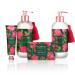 PAINT&PETALS Cranberry & Rose Scented Body Wash Gently Cleanses Creamy & Moisturizing Formula Featuring Shea & Mango A Chic Addition to Any Bathroom 10 Fl Oz - Buy Online on GoSupps.com