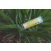 Case of Beeswax Lip Balm by ZAMBEEZI - Lemongrass 24-Tube Carton - Crafted with USDA Organic Fair Trade Lip Refreshing Ingredients from Zambia Africa - Buy Online on GoSupps.com