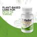 T-Relief Pet Arthritis Relief Tablets for Dog & Cat - 90 Tablets (2 Pack) - Buy Online on GoSupps.com