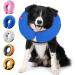 Ducomi Inflatable Dog & Cat Hinges | XS Blue - Enhance Animal Comfort & Mobility | Prevent Scratches & Bites - Buy Online on GoSupps.com