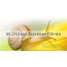 Snail Mucin 96% Power Repairing Essence - Hydrating Serum for Dull Skin | Paraben-Free Korean Skincare - Buy Online on GoSupps.com