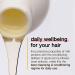 milk_shake Daily Frequent Shampoo 10.1 Fl Oz - Gentle Cleansing for Daily Use - Buy Online on GoSupps.com