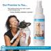 VetSmart Formulas Dog Breath Freshener Spray with Aloe Vera - Oral Hygiene for Dogs and Cats - Plaque and Tartar Remover - 1 Pack - Buy Online on GoSupps.com