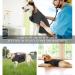 Kelivol Fear Coat for Dogs - Anxiety Relief Jacket Comfort Vest for Fireworks & Thunderstorms (L Dark Gray) | Soothing Light-Changing Design - Buy Online on GoSupps.com